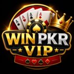 WINPKR VIP
