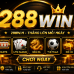 28 win game